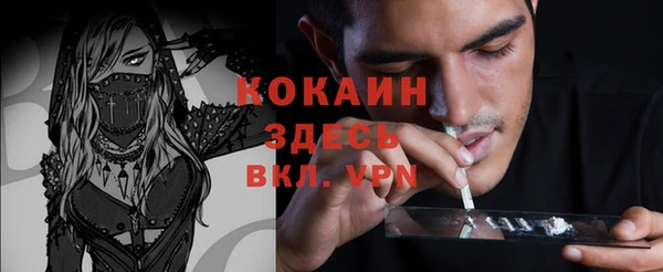 прущие грибы Алексин