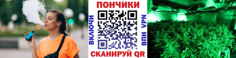 Бошки марихуана сатива Рыбное